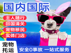 淮安机场空运国际宠物托运 【国